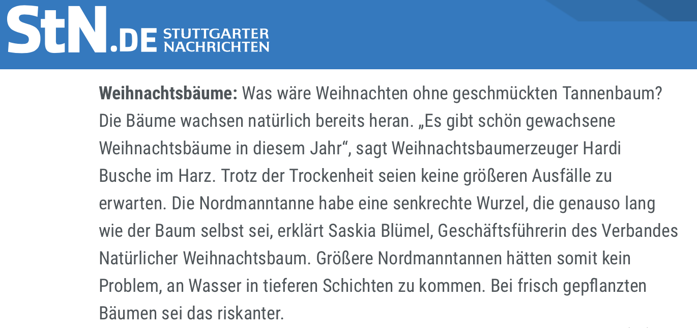 Hohe Energiekosten lassen Preise für Weihnachtsbäume steigen