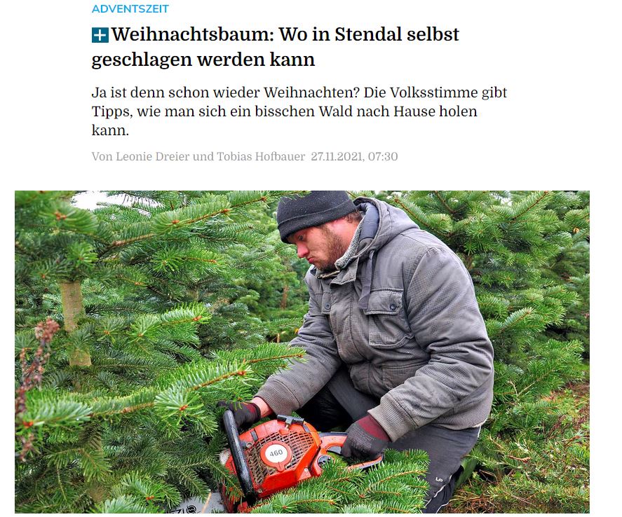 Weihnachtliches Grün für Tafel-Kundinnen und Kunden