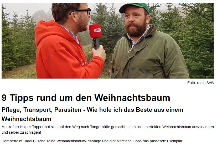 Weihnachtsbäume aus dem Harz